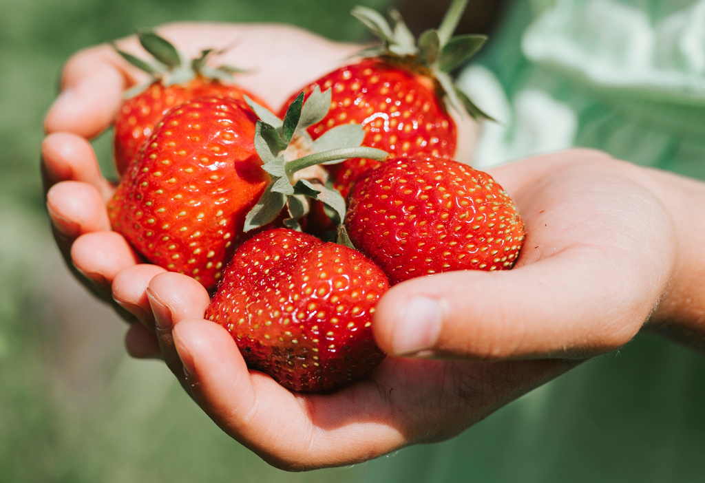 Big Air Foods Fruit - freeze dried strawberries